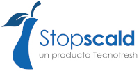 Nuestros productos